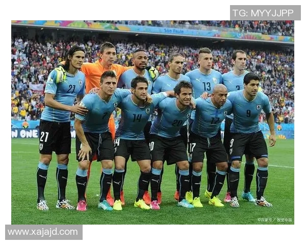 乌拉圭足球明星身价揭秘与市场价值分析 乌拉圭足球明星身价揭秘与市场价值分析